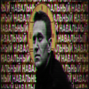 Alexey  Navalny 